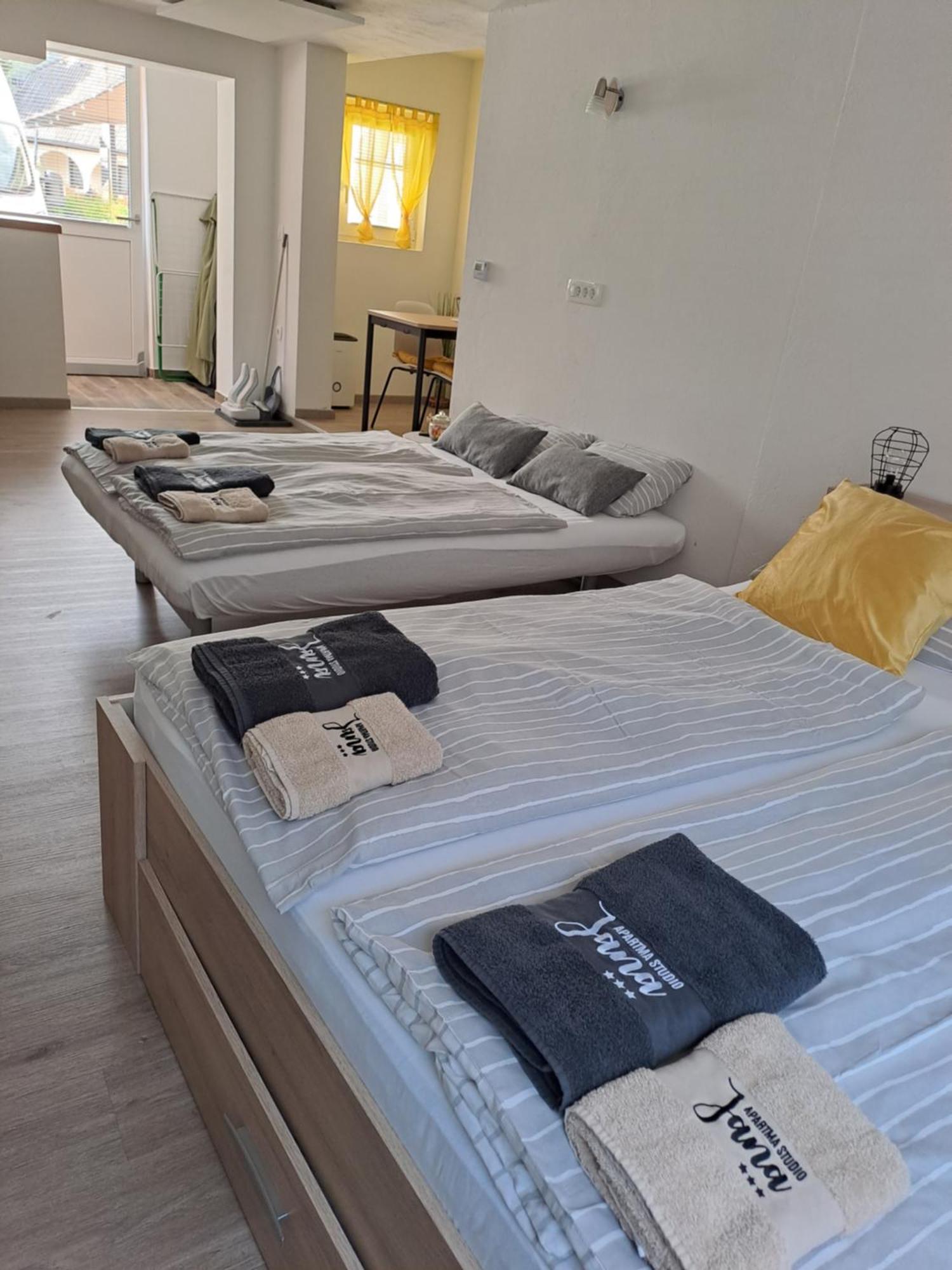 קרנייסקה גורה Apartma Studio Jana מראה חיצוני תמונה
