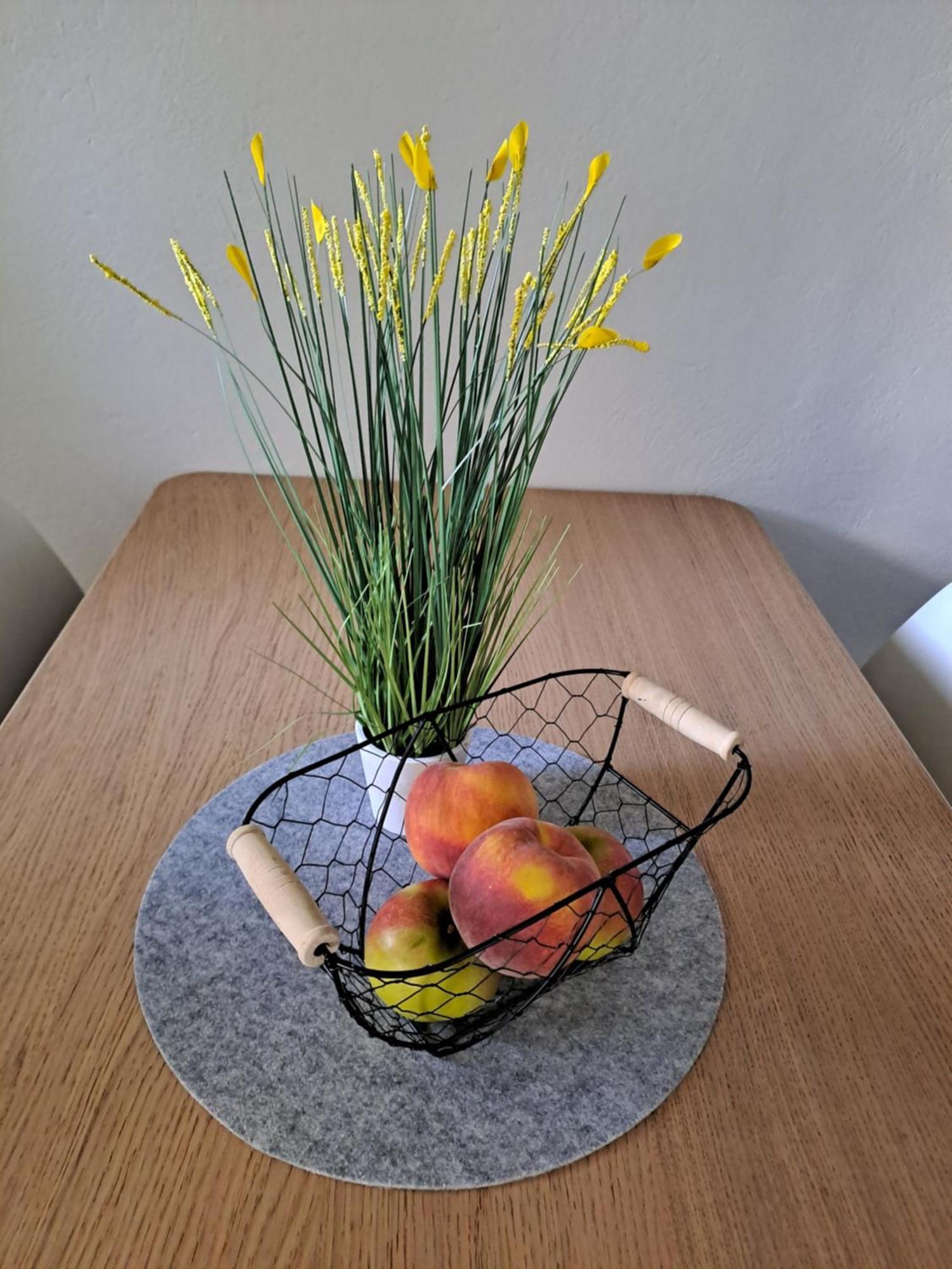 קרנייסקה גורה Apartma Studio Jana מראה חיצוני תמונה